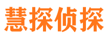 馆陶侦探公司